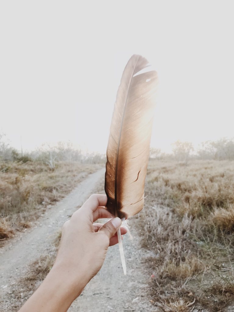 hand holding a feather in the light